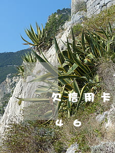 欠信用卡46萬還不起會怎么樣-欠信用卡46萬還不起會怎么樣呢