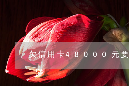 欠信用卡48000元要判多久-