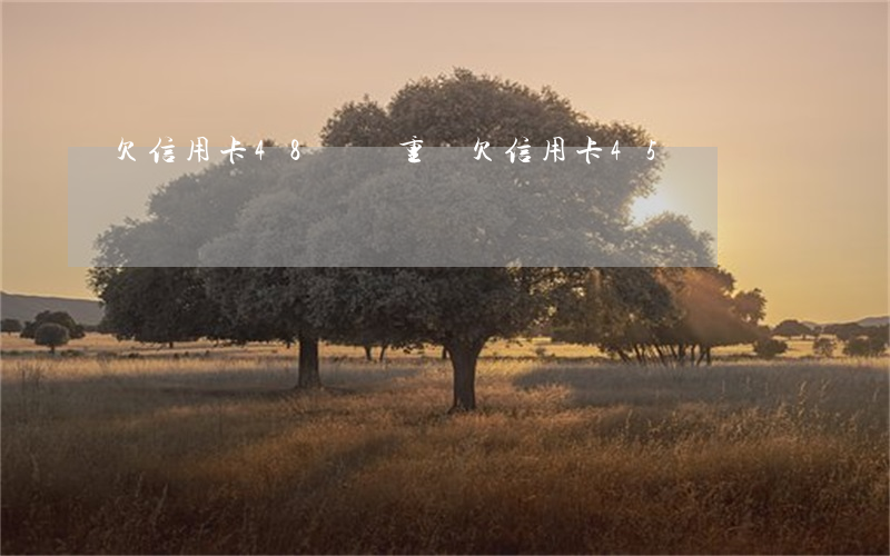 欠信用卡48萬嚴重嗎(欠信用卡45萬)
