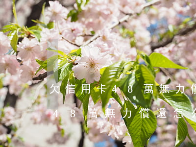 欠信用卡48萬無力償還怎么辦-欠信用卡48萬無力償還怎么辦呢