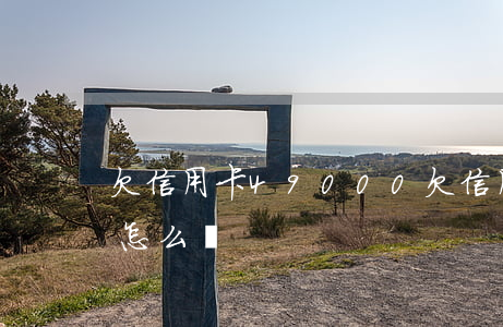 欠信用卡49000(欠信用卡49000多怎么辦)