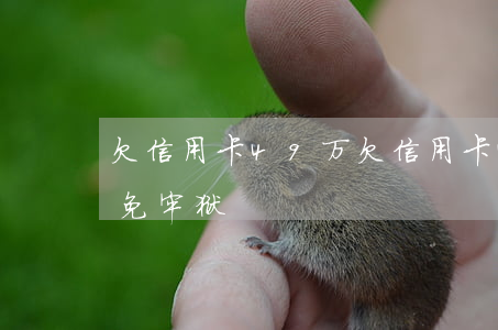 欠信用卡49万(欠信用卡40万无力偿还避免牢狱)