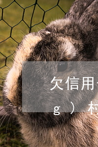 欠信用卡4W宅基地-欠信用卡農(nóng)村土地會被拍賣么