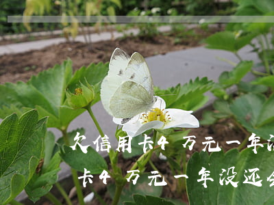 欠信用卡4万元一年没还会怎么样-欠信用卡4万元一年没还会怎么样呢