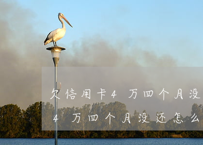 欠信用卡4万四个月没还怎么办-欠信用卡4万四个月没还怎么办呢