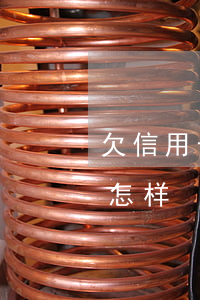 欠信用卡4万多催债 欠信用卡4万多催债会怎样