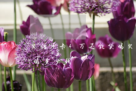欠信用卡4万还能贷吗(欠信用卡4万还能贷吗多少钱)