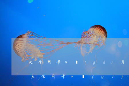 欠信用卡4個(gè)月只還了1500-欠信用卡4個(gè)月只還了1500怎么辦