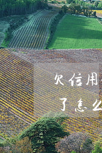 欠信用卡4個(gè)月被凍結(jié)了怎么辦-欠信用卡4個(gè)月被凍結(jié)了怎么辦呢