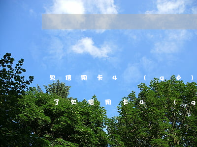 欠信用卡4個(gè)月被關(guān)了(欠信用卡4個(gè)月被關(guān)了會(huì)怎樣)