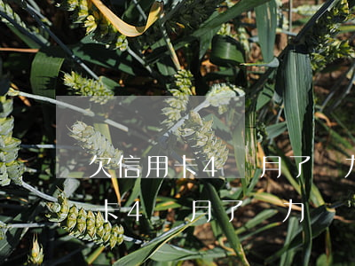 欠信用卡4個月了無力償還怎么辦-欠信用卡4個月了無力償還怎么辦呢