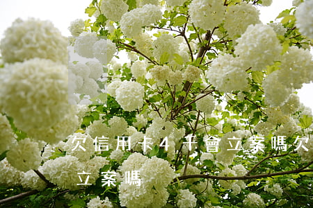 欠信用卡4千會立案嗎 欠信用卡四千元可以立案嗎