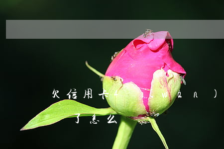 欠信用卡4萬(wàn)3年沒(méi)還了怎么辦-