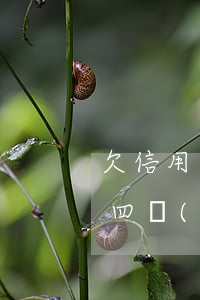 欠信用卡4萬(wàn)坐幾年牢(欠信用卡四萬(wàn)塊錢會(huì)怎么樣)