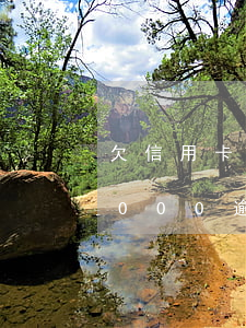 欠信用卡4萬(wàn)逾期七年 信用卡4000逾期3年多了