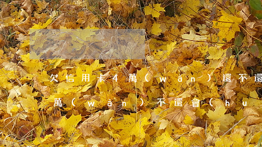 欠信用卡4萬(wàn)還不還 欠信用卡4萬(wàn)不還會(huì)怎么樣