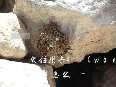 欠信用卡4萬(wàn)還剩15萬(wàn)怎么辦-