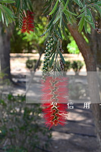 欠信用卡4萬5年沒有還會怎么樣