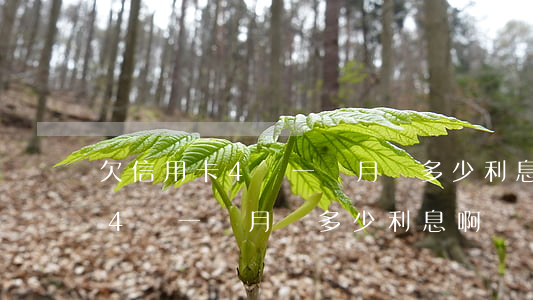 欠信用卡4萬一個月還多少利息-欠信用卡4萬一個月還多少利息啊
