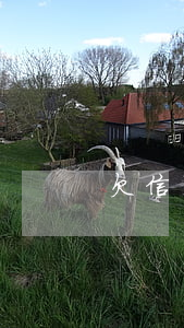 欠信用卡4萬一年了