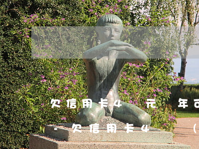 欠信用卡4萬元兩年可以坐飛機(jī)嗎-欠信用卡4萬會(huì)不會(huì)坐牢