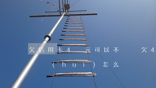 欠信用卡4萬元可以不還嗎(欠4萬信用卡不還會(huì)怎么樣)