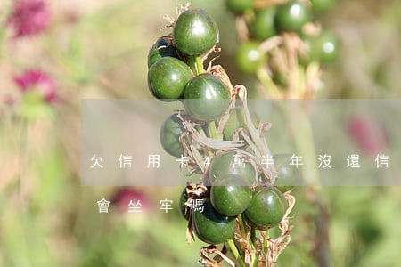 欠信用卡4萬半年沒還(信用卡4萬逾期半年會坐牢嗎)