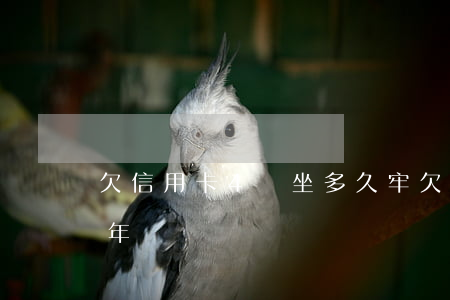 欠信用卡4萬坐多久牢(欠信用卡四萬元判幾年)