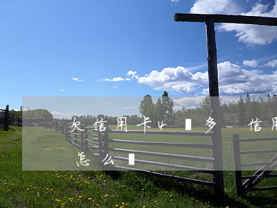 欠信用卡4萬多-信用卡欠了4萬多還不起怎么辦
