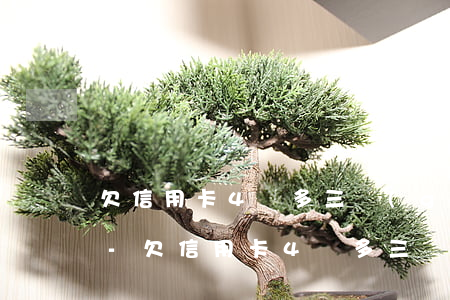 欠信用卡4萬多三個(gè)月有什么后果-欠信用卡4萬多三個(gè)月有什么后果嗎