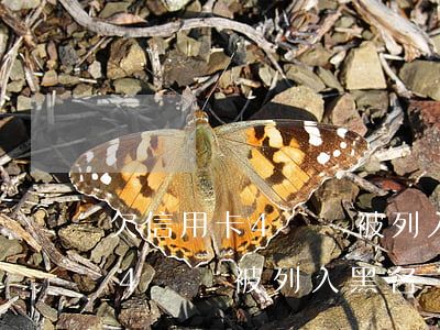 欠信用卡4萬會被列入黑名單嗎-欠信用卡4萬會被列入黑名單嗎知乎