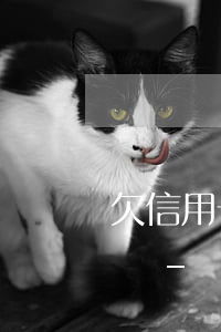 欠信用卡4萬現(xiàn)在還不起怎么辦-
