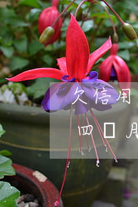 欠信用卡4萬逾期3年(信用卡欠款三萬逾期四個月)