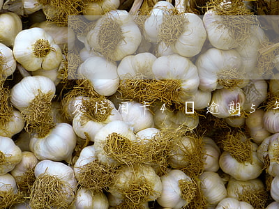 欠信用卡4萬逾期5年怎么樣了