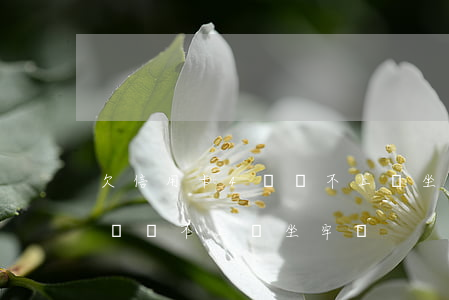 欠信用卡4萬還不上會坐牢嗎-欠信用卡4萬還不上會坐牢嗎