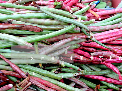 欠信用卡4萬還不上會坐牢嗎（欠信用卡4萬8）