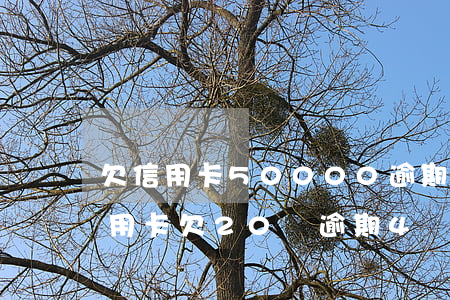 欠信用卡50000逾期4個(gè)月（信用卡欠20萬逾期4個(gè)月）