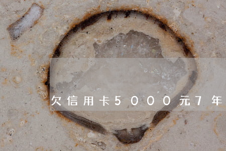 欠信用卡5000元7年不還