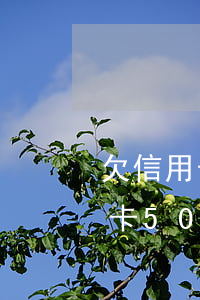 欠信用卡5000塊錢是什么后果-欠信用卡5000塊錢是什么后果呢