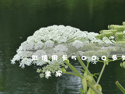 欠信用卡5000多(欠信用卡5000塊錢會坐牢嗎)