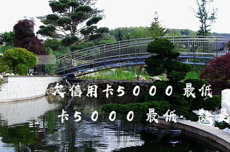欠信用卡5000最低還款是多少-欠信用卡5000最低還款是多少錢