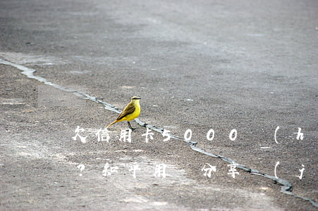 欠信用卡5000會(huì)否上門催收？知乎用戶分享經(jīng)驗(yàn)