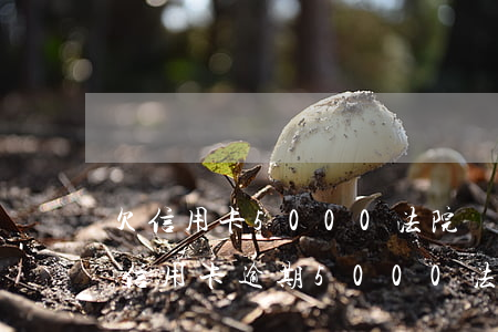 欠信用卡5000法院會(huì)受理嗎（信用卡逾期5000法院傳票）