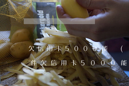 欠信用卡5000能構(gòu)成刑事案件(欠信用卡5000能構(gòu)成刑事案件)