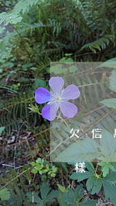 欠信用卡5000逾期一年會(huì)怎樣