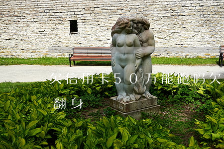 欠信用卡50万能跑吗(欠信用卡五十万怎么翻身)