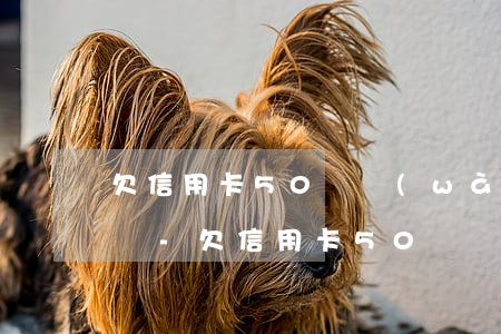 欠信用卡50幾萬(wàn)即將逾期怎么辦-欠信用卡50幾萬(wàn)即將逾期怎么辦呢
