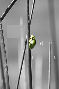 欠信用卡50 萬(wàn)要-欠信用卡50 萬(wàn)要坐牢多久
