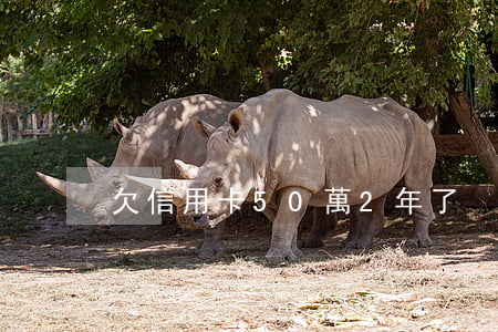 欠信用卡50萬2年了
