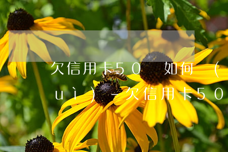 欠信用卡50萬如何應(yīng)對(duì)-欠信用卡50萬如何應(yīng)對(duì)呢
